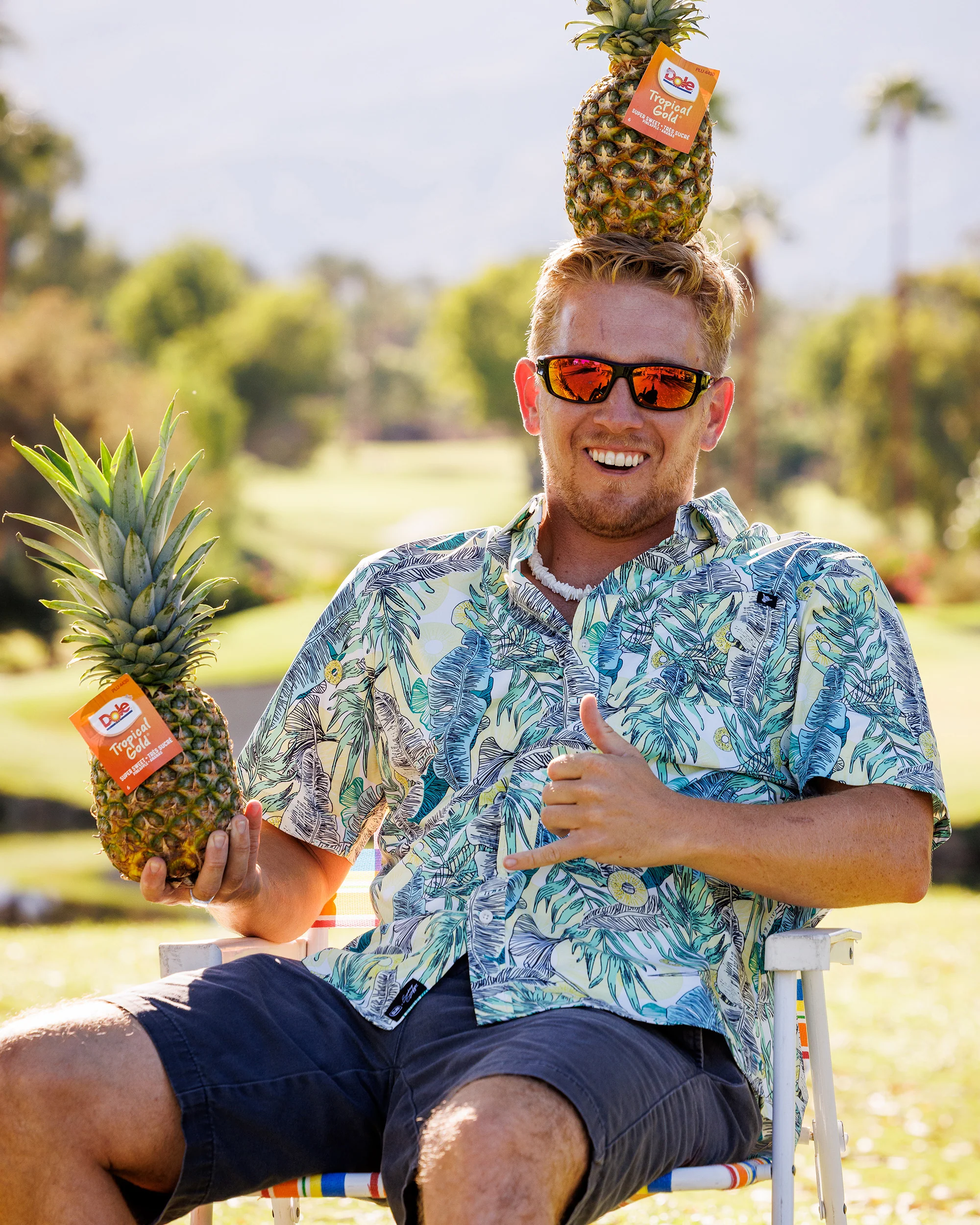 Dole-In-One | Dole® Button Up 2.0 - Image 4