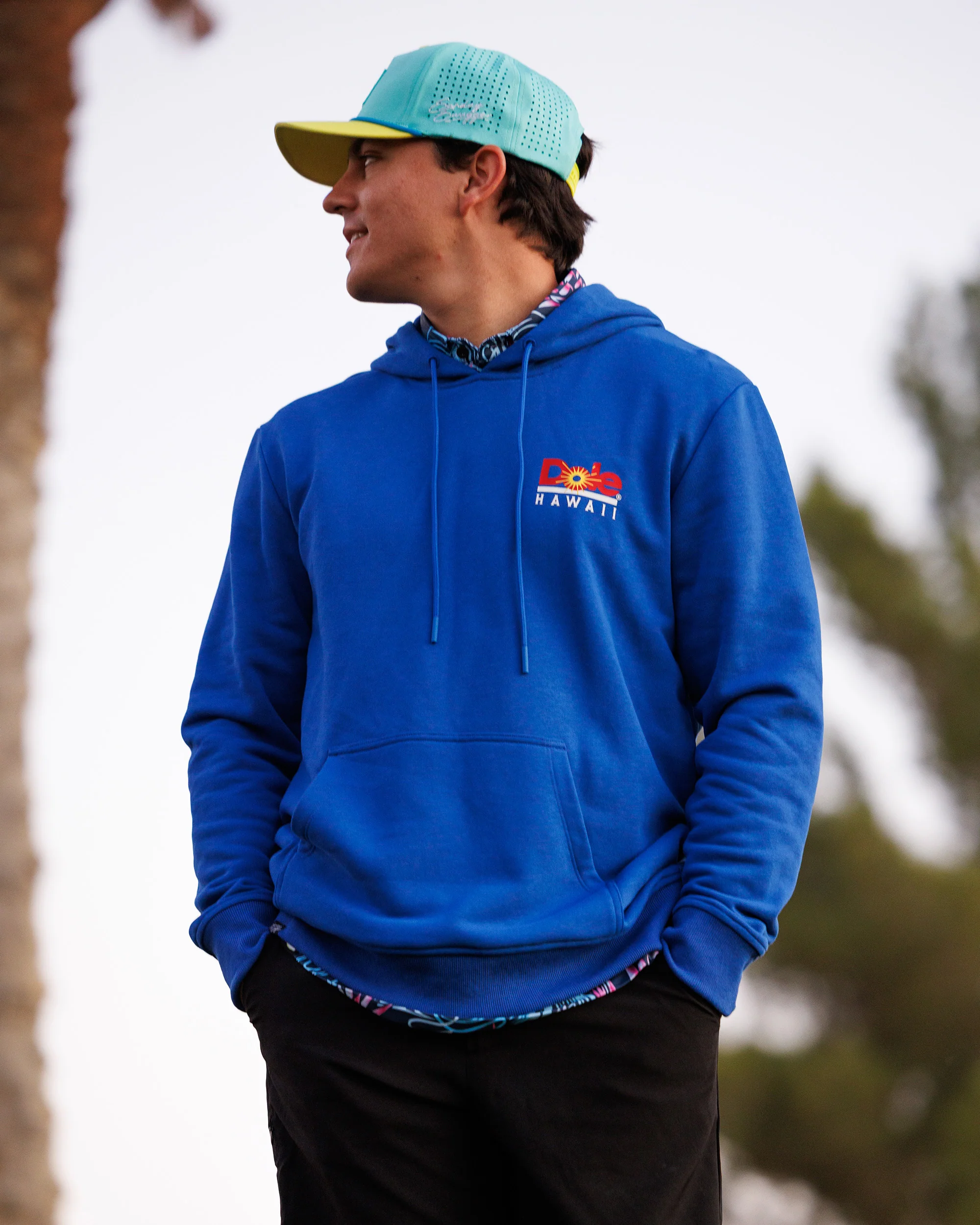 Hideaway | Dole® Comfort Hoodie - Image 3