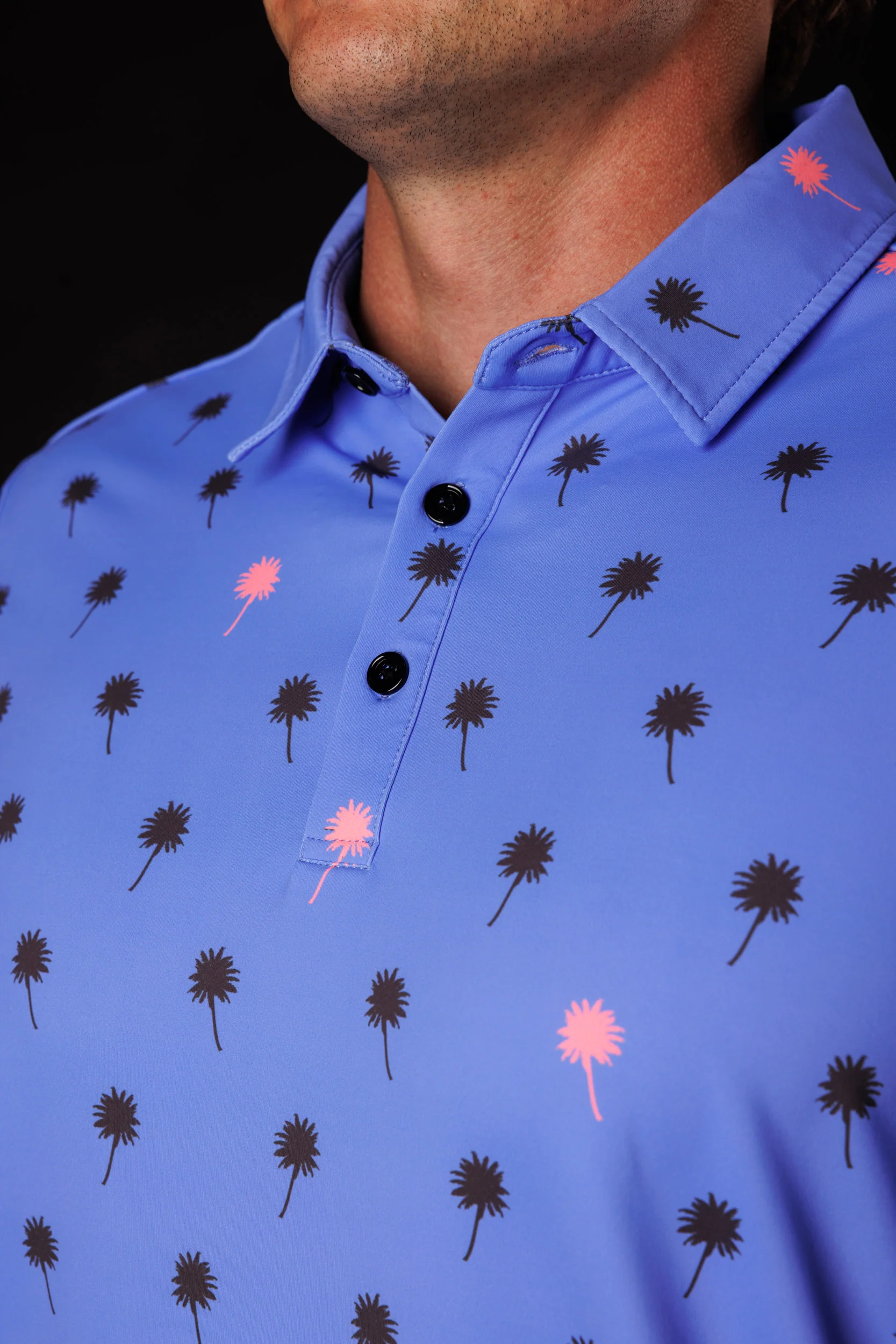 Palm Party - Image 3